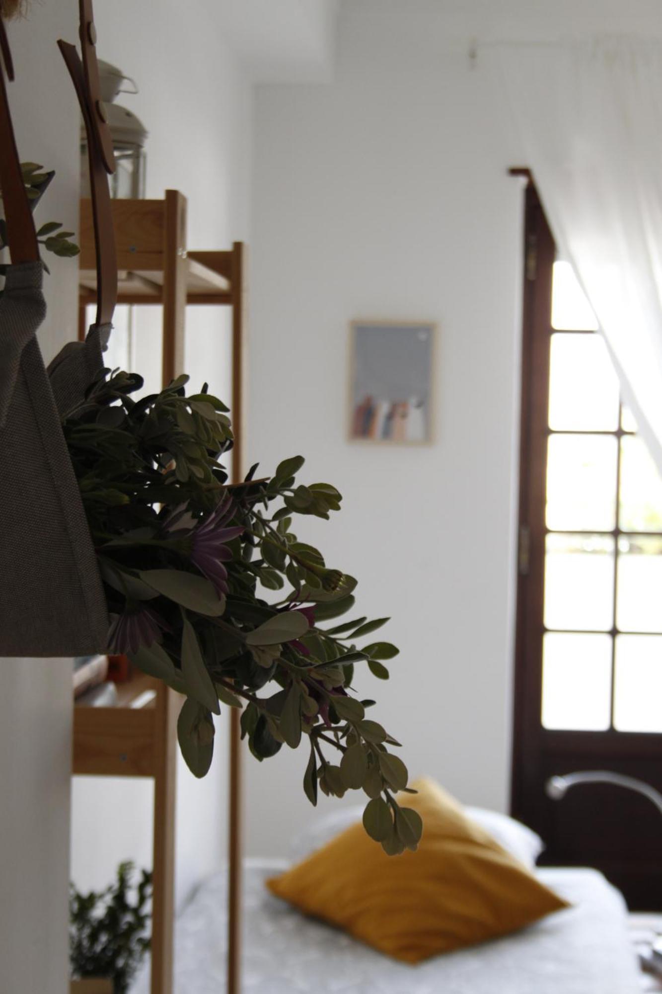 Boa Onda Guesthouse アトウギア・ダ・バレイア 部屋 写真
